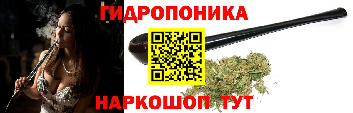 Канабис индика Курчатов